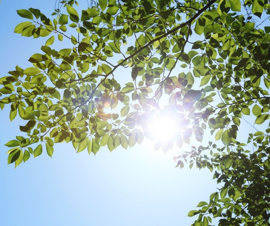 mindful self compassion course